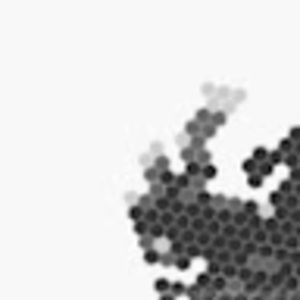 Meet your Posher, Max